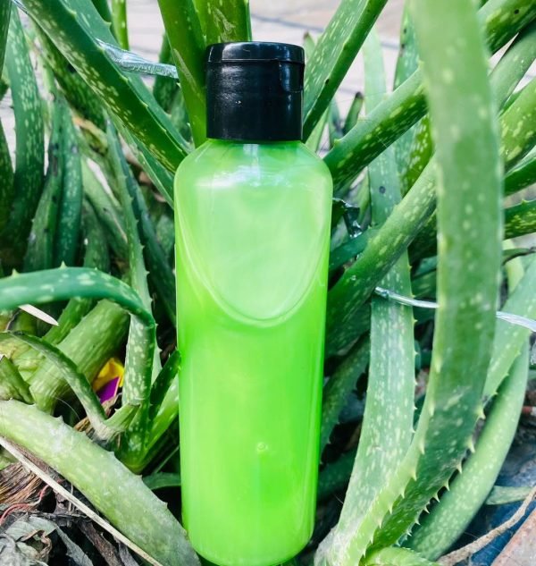 Anti Hair Fall Organic Shampoo